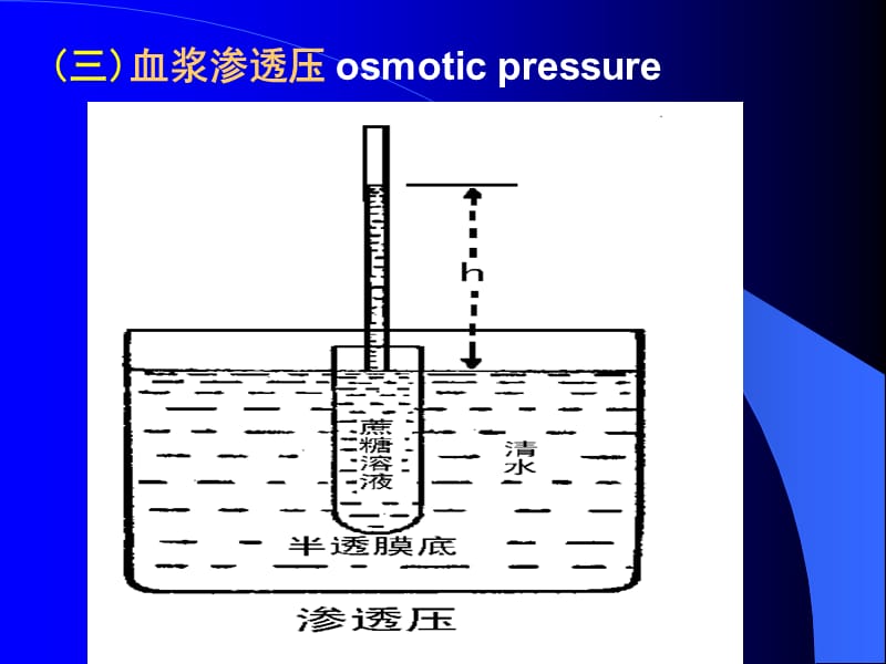 最新三章节血液blood-PPT文档.ppt_第3页