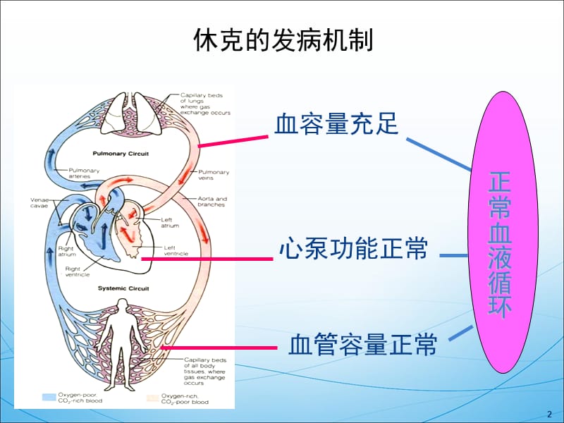 2018年休克临床用药-文档资料.ppt_第2页