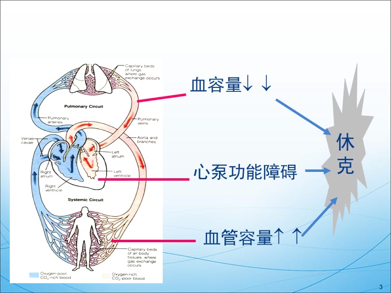 2018年休克临床用药-文档资料.ppt_第3页