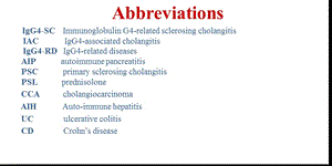igg4相关肝胆疾病的诊断与治疗-PPT文档.pptx