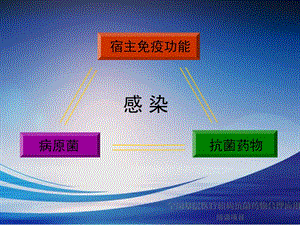 3造血干细胞移植后的感染黄晓军-精选文档-精选文档.ppt