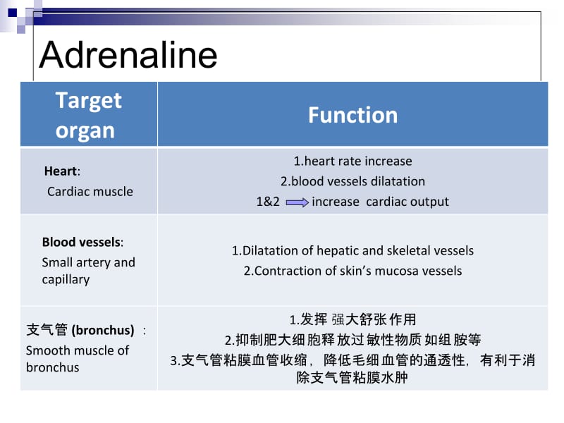 最新Adrenal meulla肾上腺髓质课件-PPT文档.ppt_第3页