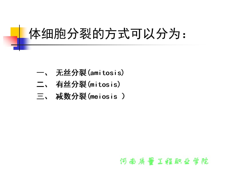 最新2第一章 细胞分裂和染色体行为2-PPT文档.ppt_第2页