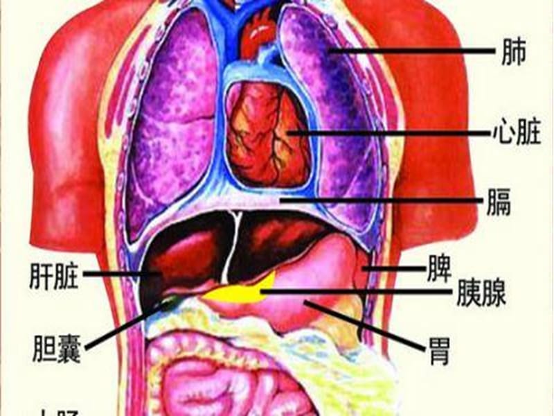 2018年《急性胸痛》-文档资料.pptx_第2页