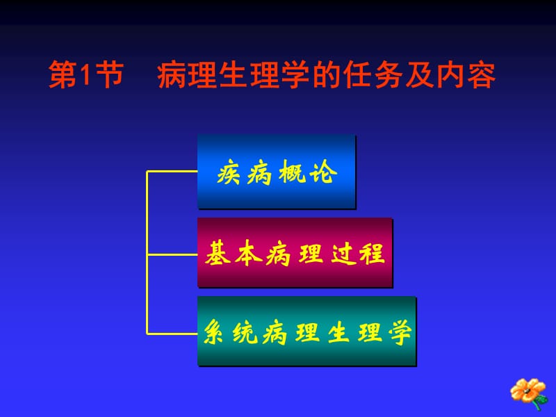 《病理生理学》PPT课件-精选文档.ppt_第3页