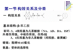 B10肾上腺素受体激动-文档资料.ppt