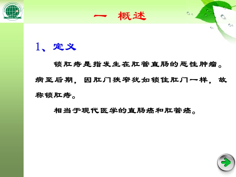 中医外科学多媒体课件--肛门直肠疾病ppt课件-精选文档.ppt_第2页