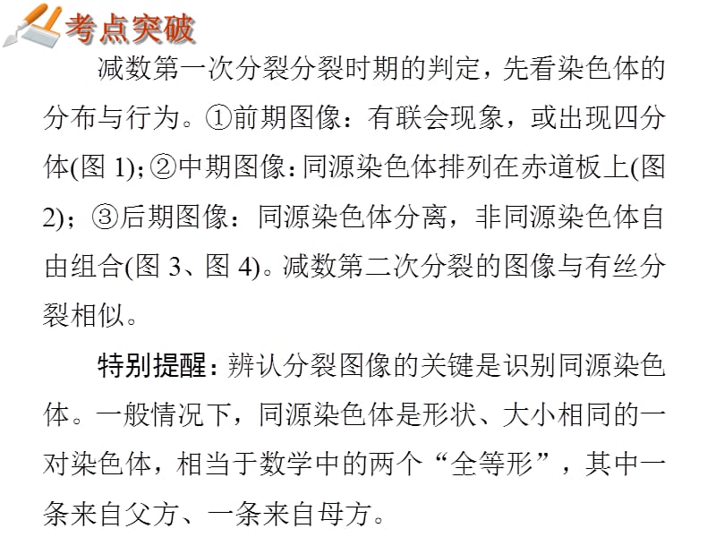 《导与练》2013湖南省高三二轮复习专题36细胞的增殖、分化、衰老和凋亡36张-文档资料.ppt_第2页