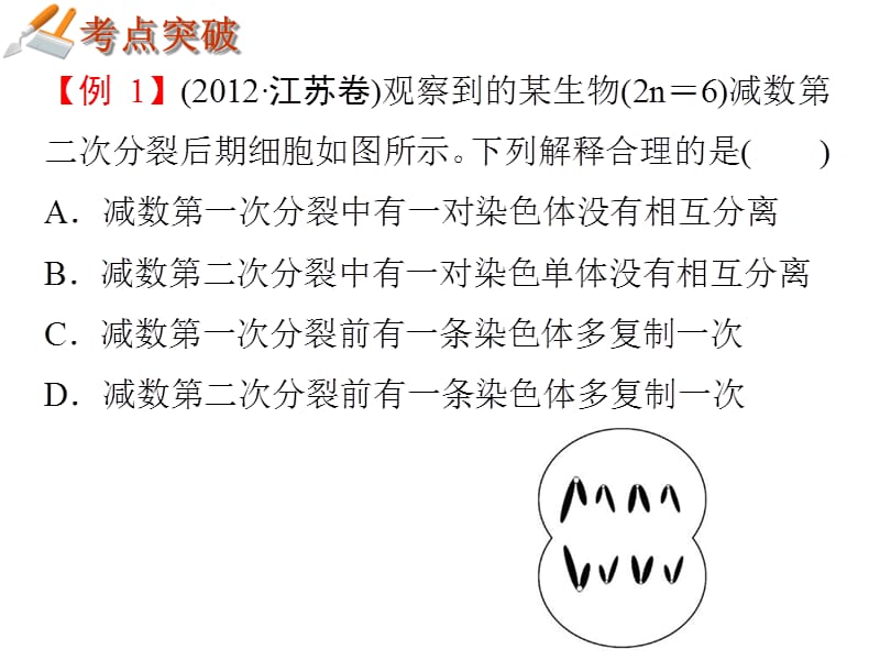 《导与练》2013湖南省高三二轮复习专题36细胞的增殖、分化、衰老和凋亡36张-文档资料.ppt_第3页