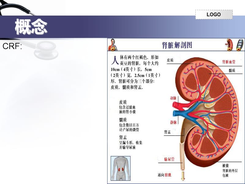 2018年《CRF的护理》PPT课件-文档资料.ppt_第2页