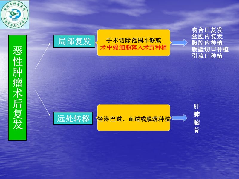 2018年再谈肿瘤外科的无瘤技术和原则-文档资料.ppt_第2页