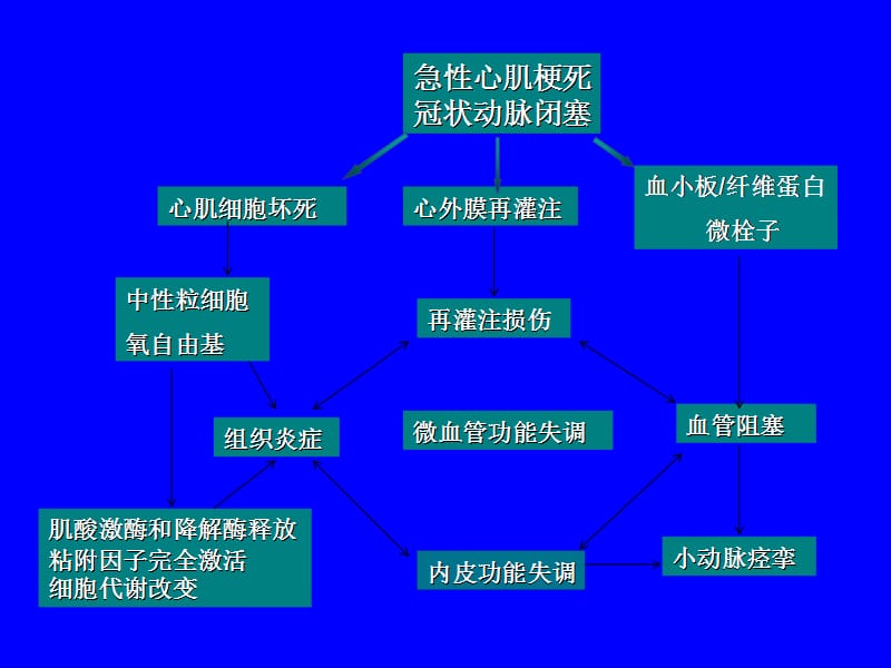 最新：PCI术后心肌组织灌注的临床幻灯片-文档资料.ppt_第3页