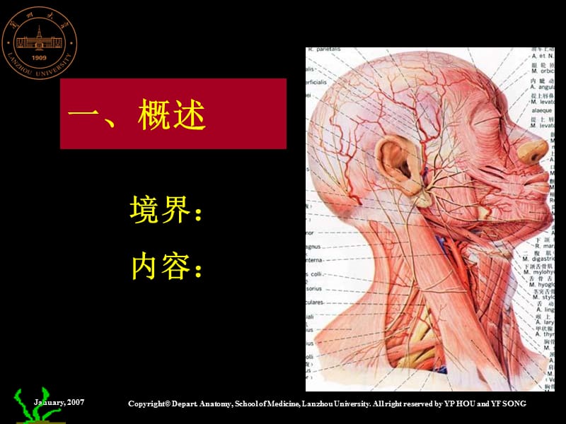 2018年2018年32颈部解剖-文档资料.ppt_第1页