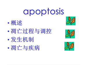 2018年病理生理学网络课件第9章细胞凋亡和疾病课件-文档资料.ppt