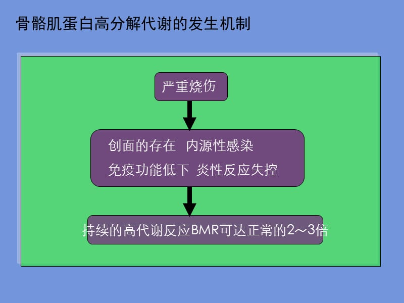 2018年严重烧及脓毒血症骨骼肌蛋白高分解代谢防治课件-文档资料.ppt_第2页