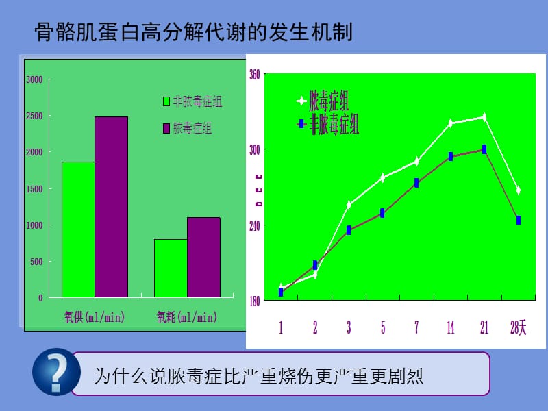 2018年严重烧及脓毒血症骨骼肌蛋白高分解代谢防治课件-文档资料.ppt_第3页