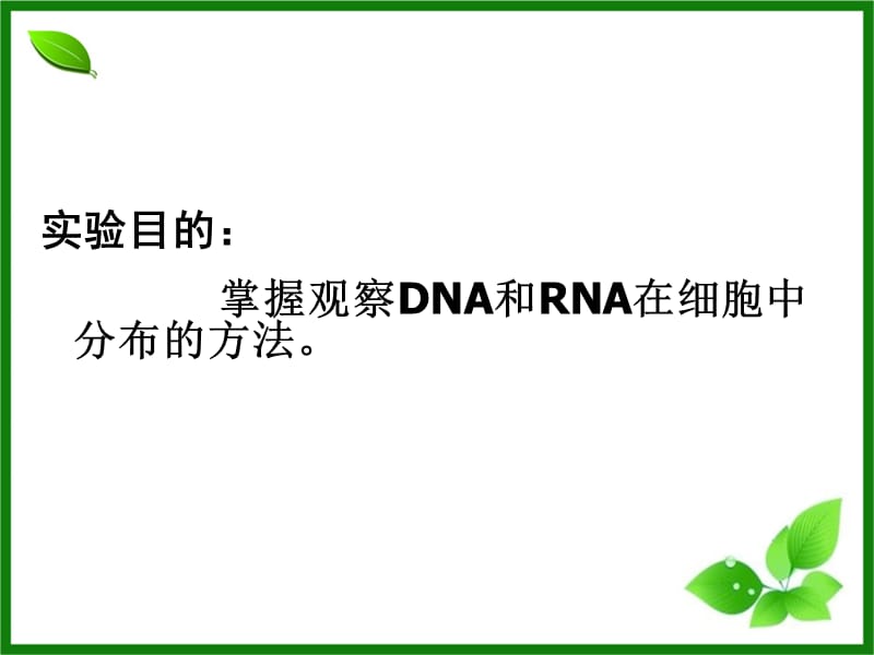 2018年最终版第2章第3节实验观察DNARNA在细胞中的分布-文档资料.ppt_第1页