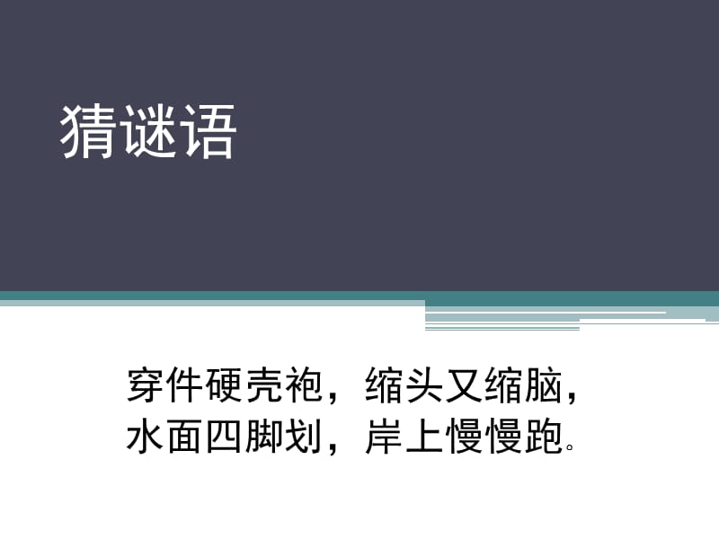 一年级下册语文课件-11《想飞的乌龟》4∣北师大版（2018）(共15张PPT).ppt_第2页