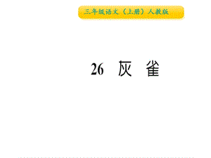 三年级上册语文习题课件-26 灰雀∣人教（部编版） (共14张PPT).ppt