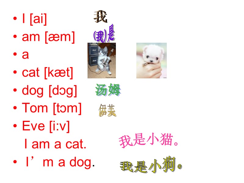 三年级上册英语课件－ Lesson 1，I am a cat｜科普版（三起） (共12张PPT).ppt_第3页