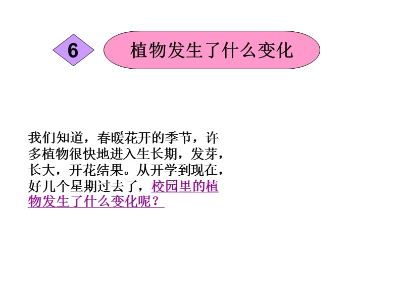 三年级上册科学课件－1.6《植物发生了什么变化》｜教科版　 (共14张PPT).ppt_第1页