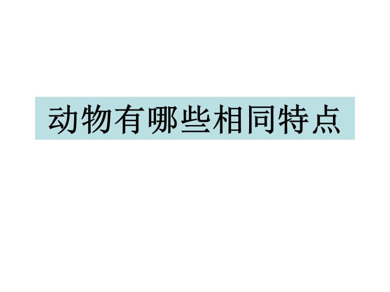 三年级上册科学课件-2.7动物有哪些相同特点 教科版(共13张PPT).ppt_第1页