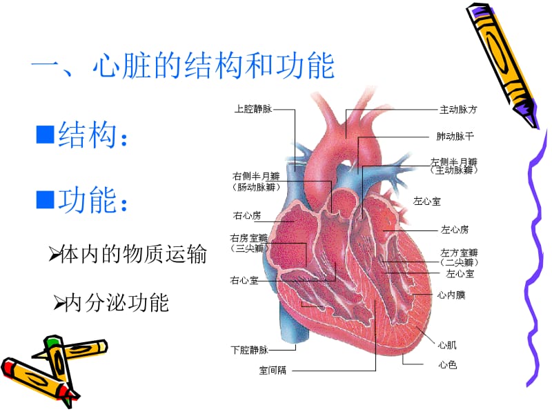 心脏功能检验-PPT文档.ppt_第3页