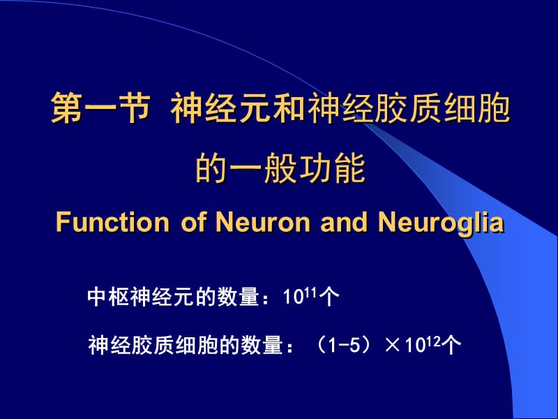 10-1-2神经元神经纤维胶质细胞突触传递1-3h-PPT文档.ppt_第3页