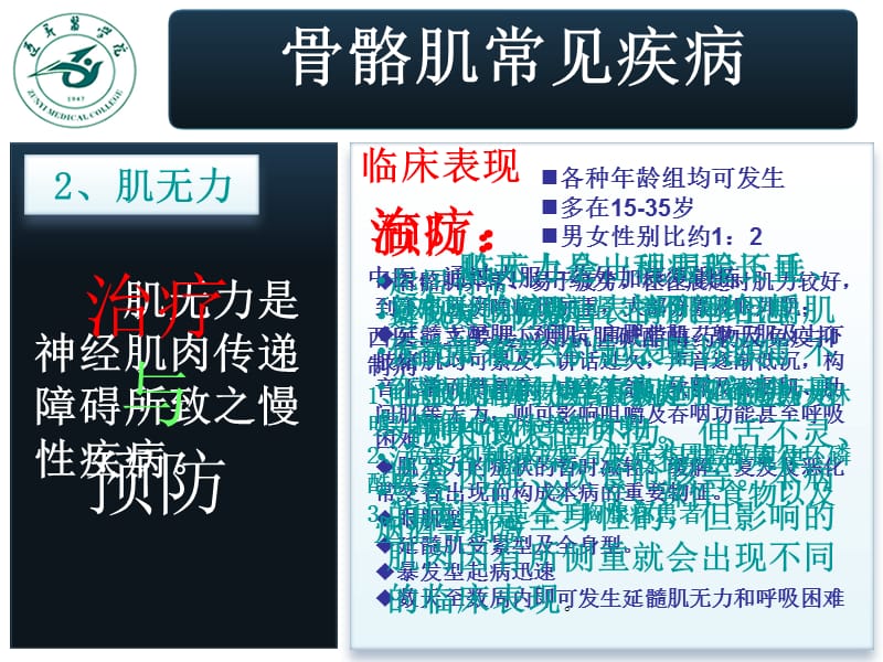 2018年学生自主设计系统解剖实验(骨骼肌)-文档资料.ppt_第3页