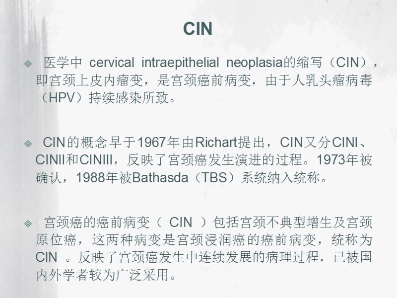 宫颈癌癌前病变症状-文档资料.ppt_第2页