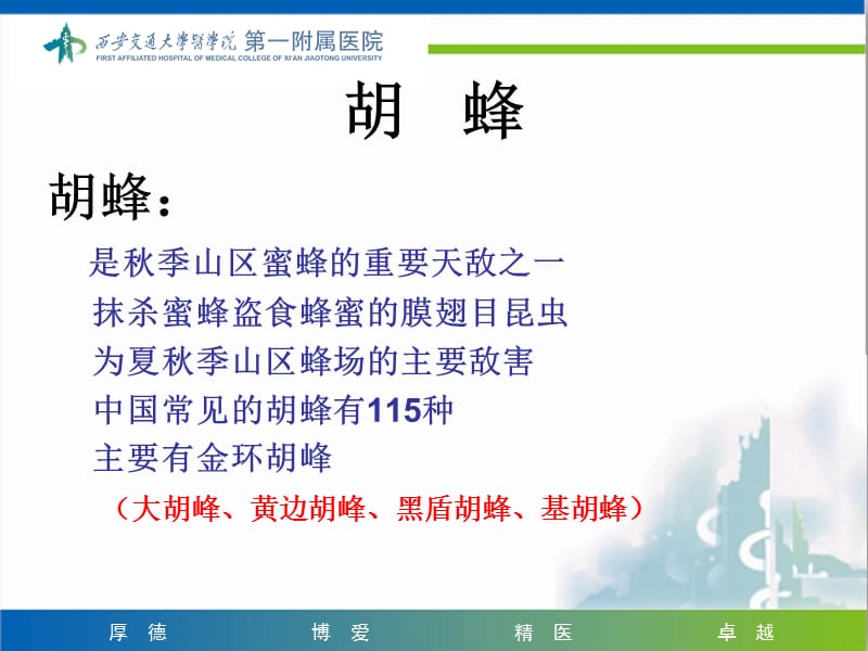 2018年蜂蛰伤的救治的策略蜂蛰伤的救治的策略-文档资料.ppt_第1页