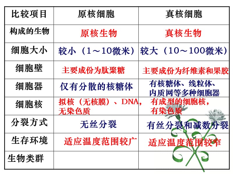 2018年非细胞生物-文档资料.ppt_第2页