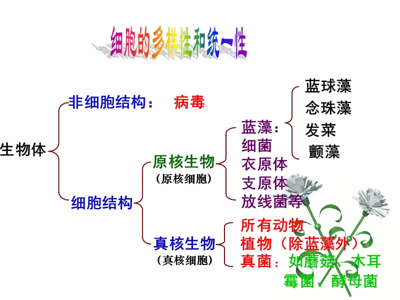 2018年非细胞生物-文档资料.ppt_第3页