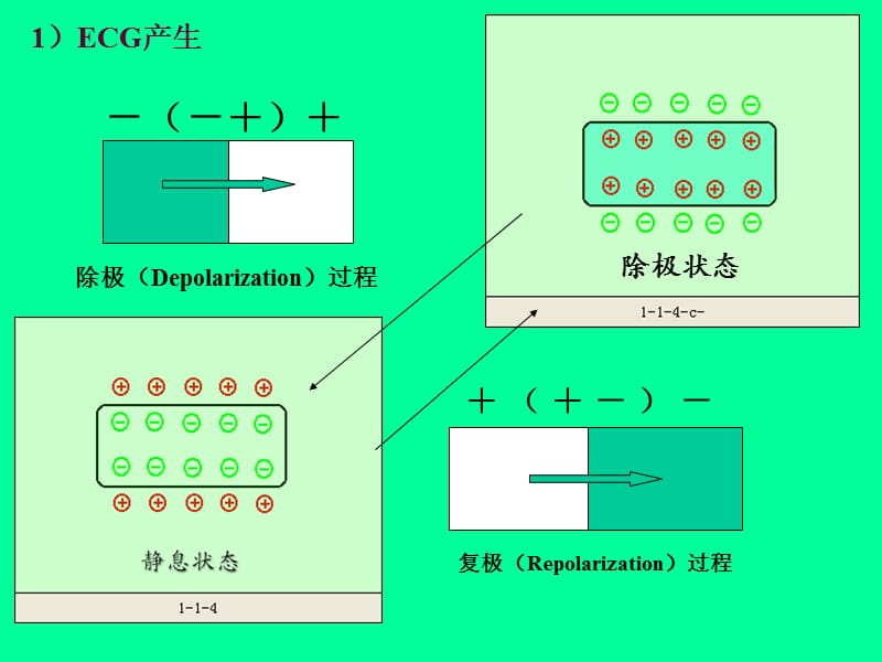 心电图-文档资料.ppt_第3页