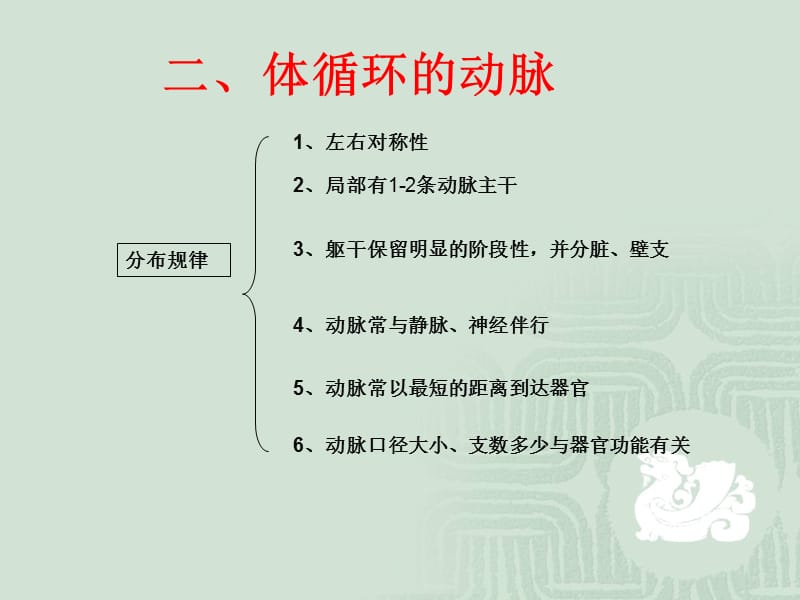 12动脉系解-PPT文档.ppt_第2页