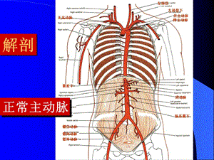 主动脉夹层的诊断和治疗-PPT文档.ppt