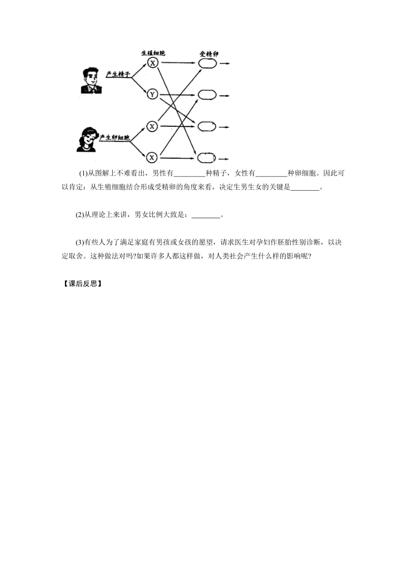 性别和性别决定导学案.doc_第3页