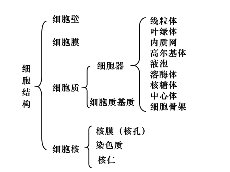 人教版教学课件细胞的结构2(细胞质和细胞核部分)-精选文档.ppt_第1页