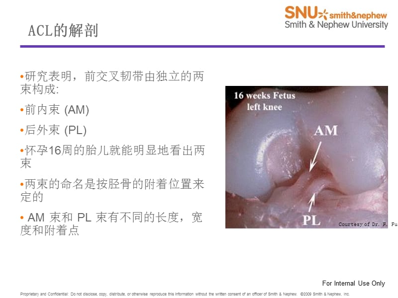 2018年解剖型ACL重建-文档资料.ppt_第1页