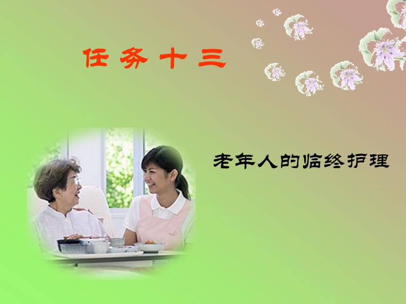 临终老年人的护理-文档资料.ppt_第2页