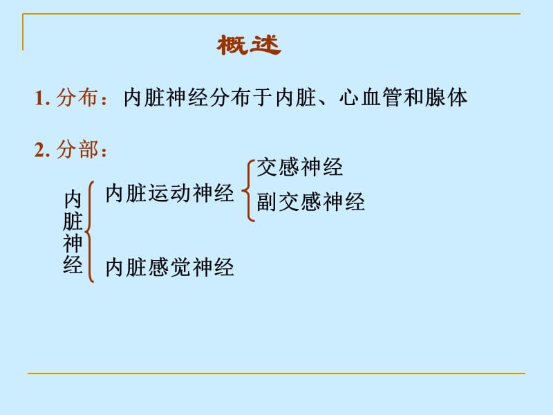 2018年第5篇 神经系统 第3章第3节 内脏神经-文档资料.ppt_第3页