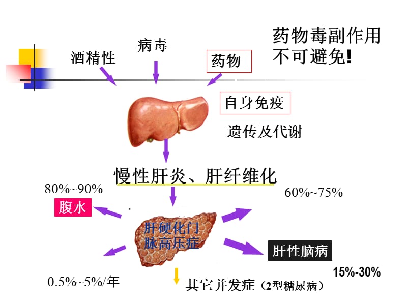 2018年药物性肝病研究ppt课件-文档资料.ppt_第3页