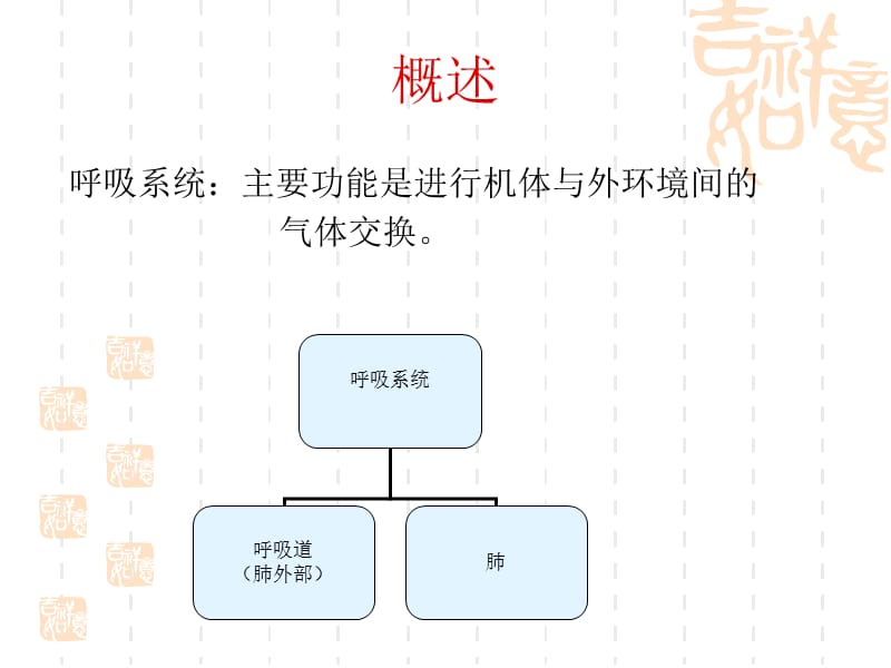 2018年呼吸系统解剖PPT课件-文档资料.ppt_第1页