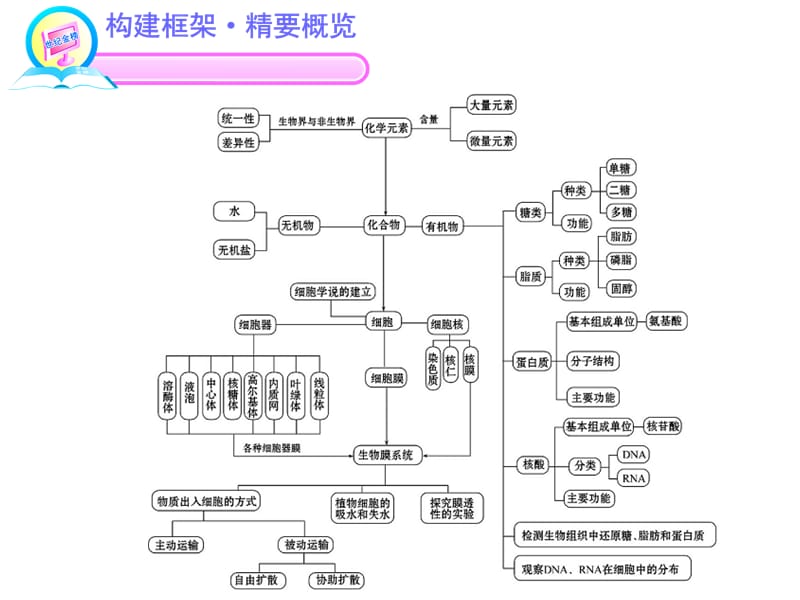 专题1细胞的分子组成-PPT文档.ppt_第3页