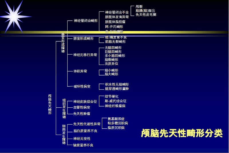 中枢神经系统-畸形或发育异常ppt课件-PPT文档.ppt_第2页