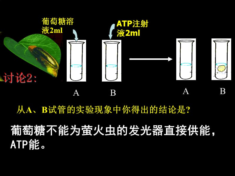 专题9 ATP+细胞呼吸-精选文档.ppt_第3页