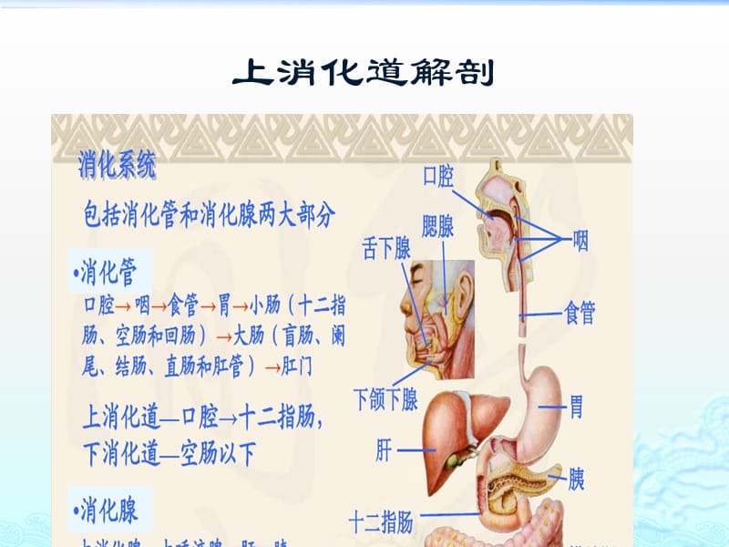 2018年上消化道出血、穿孔-文档资料.pptx_第2页