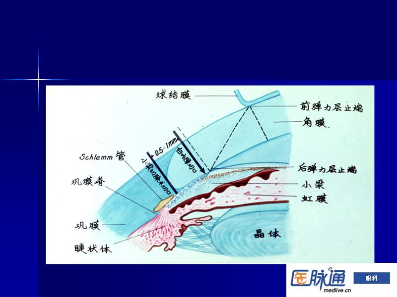 2018年第3章+眼表疾病7课件-文档资料.ppt_第2页