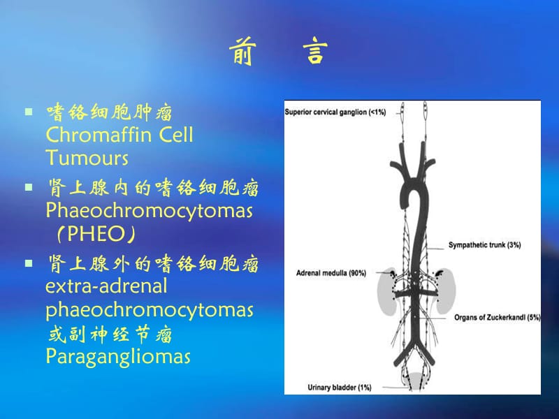 嗜铬细胞瘤的诊治进展-文档资料.ppt_第1页