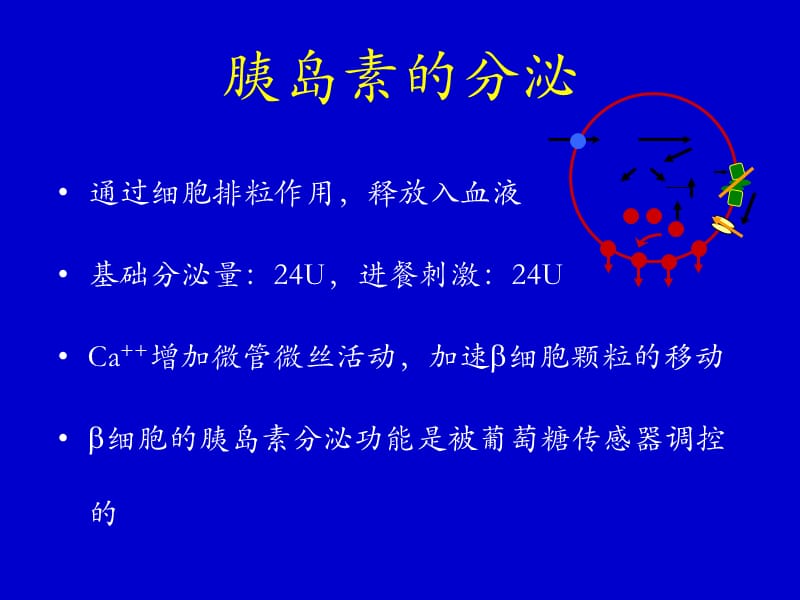 口服降糖药的临床应用-精选文档.ppt_第2页